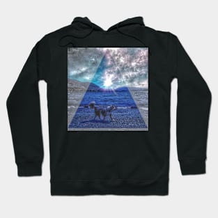 Midnight Dream Dog Hoodie